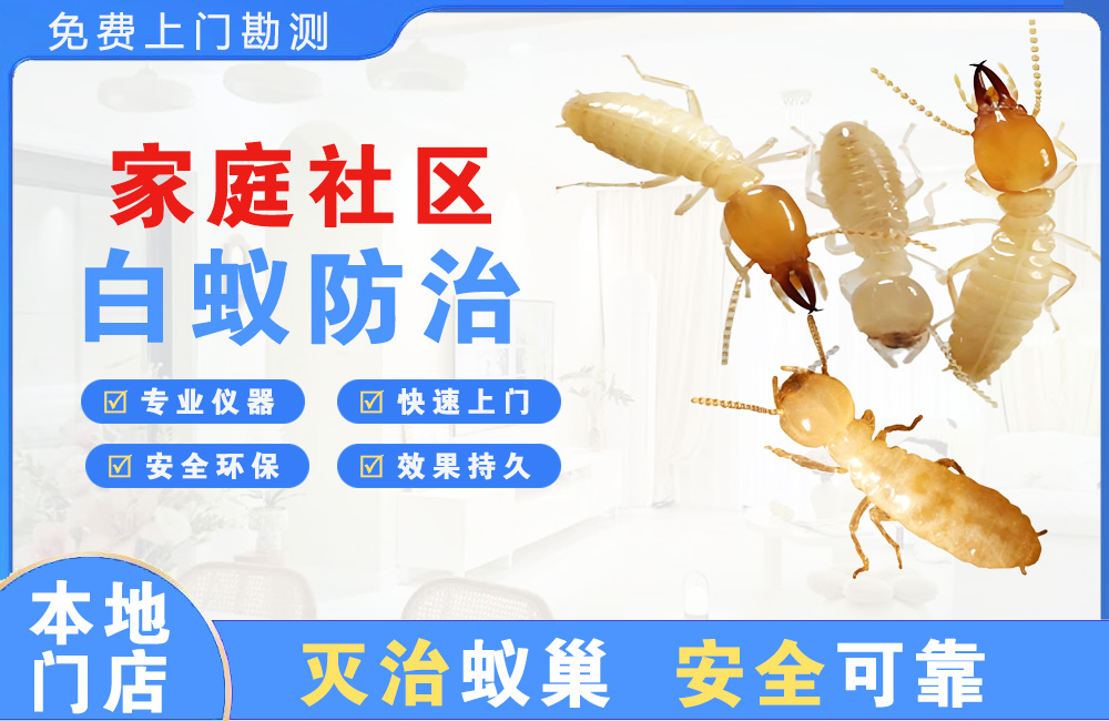隆安家庭社区白蚁防治