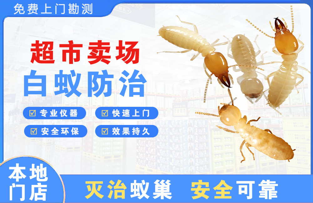 隆安超市卖场白蚁防治