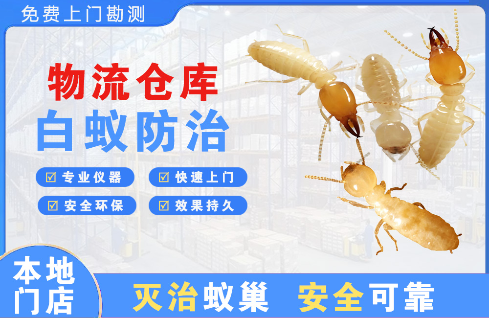隆安物流仓库白蚁防治