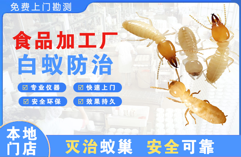 隆安食品加工厂白蚁防治