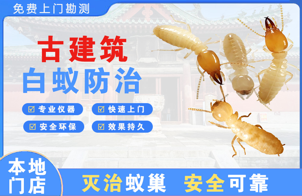 隆安古建筑白蚁防治