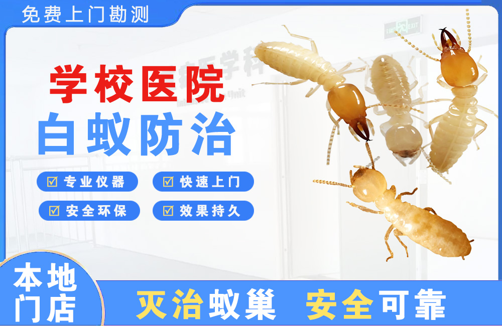 隆安学校医院白蚁防治