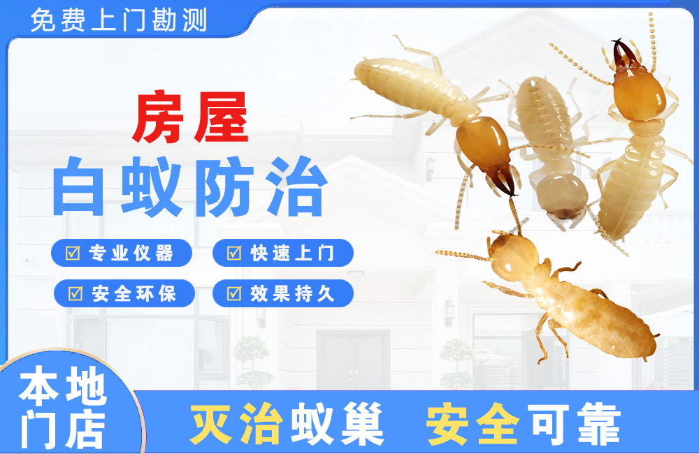 隆安房屋白蚁防治