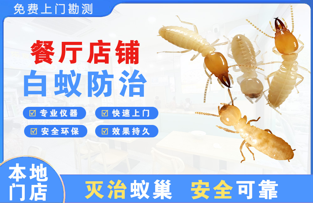 隆安餐厅店铺白蚁防治
